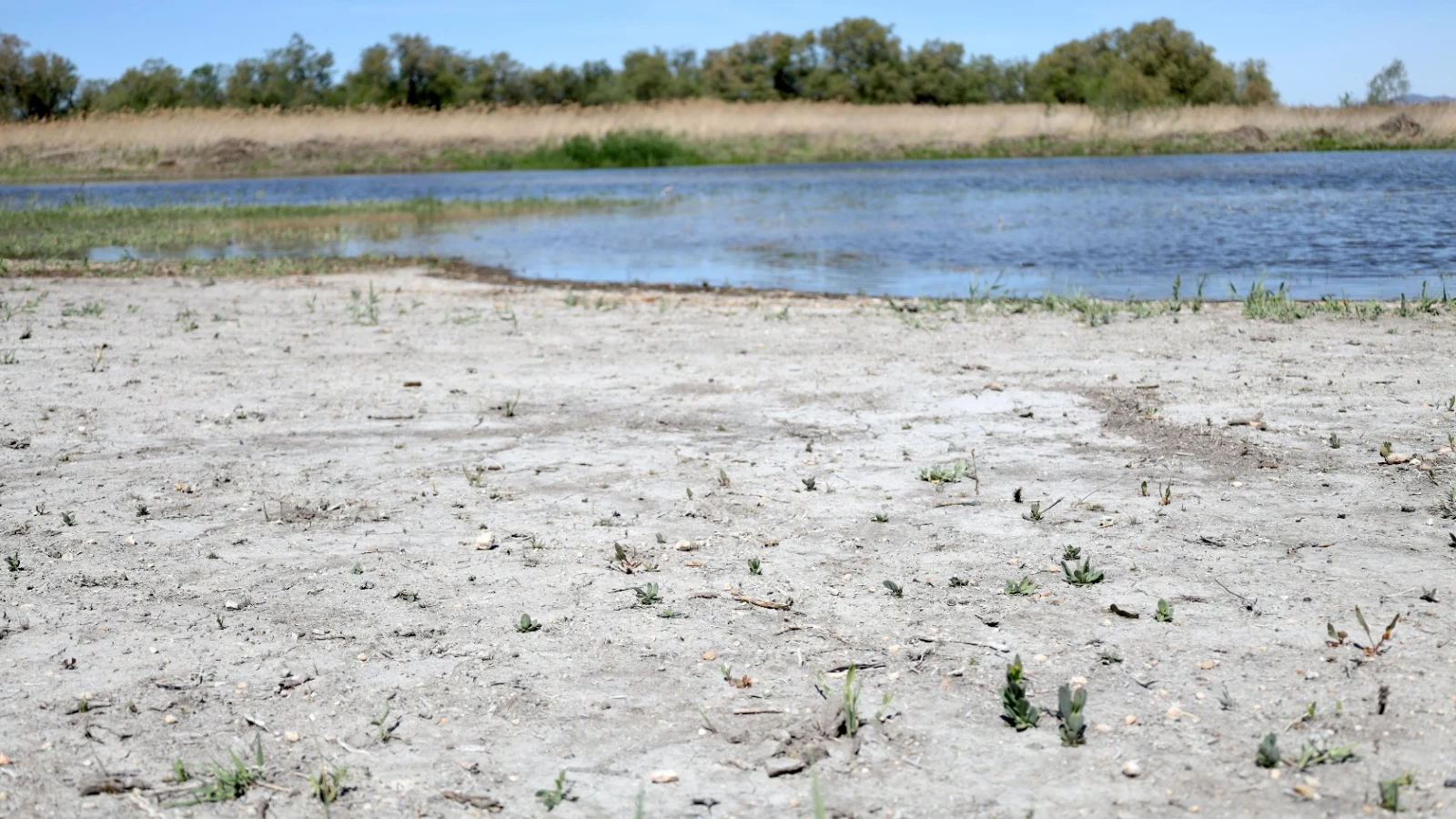 La Tierra entra en 'números rojos': ya hemos agotado todos los recursos que teníamos para este 2023