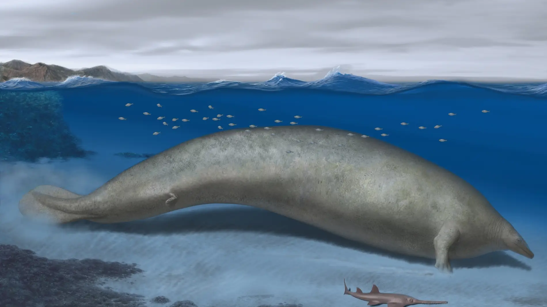 Reconstrucción del cetáceo arcaico