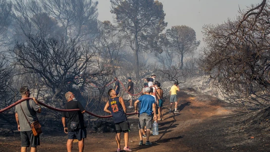 Vecinos y bomberos se afanan por apagar el incendio en Puerto Real (Cádiz). Vecinos y bomberos se afanan por apagar el incendio declarado esta tarde en el Paraje Natural de Las Canteras en Puerto Real (Cádiz).