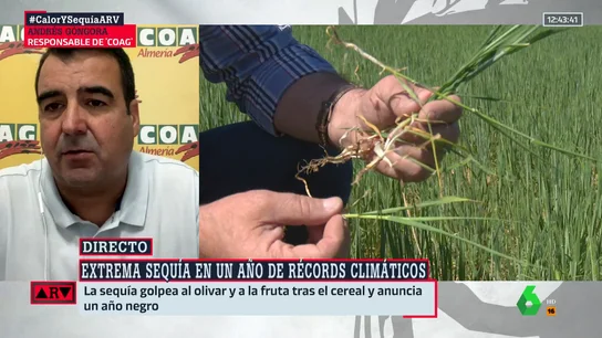 ¿Cuáles son las soluciones para paliar los efectos del cambio climático en la agricultura? Andrés Góngora responde ¿Cuáles son las soluciones para paliar los efectos del cambio climático en la agricultura? Andrés Góngora responde