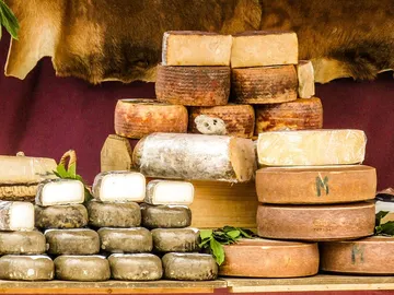 Quesos de oveja Quesos de oveja