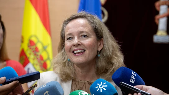 Calviño defiende su candidatura al Banco Europeo de Inversiones: "Cualquier otro perfil era dar la batalla por perdida" Calviño defiende su candidatura al Banco Europeo de Inversiones: "Cualquier otro perfil era dar la batalla por perdida"