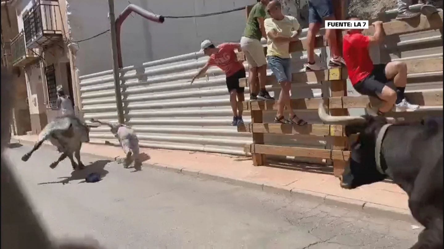 Un hombre irlandés, herido con una cornada en la yugular durante un encierro en Blanca (Murcia) Un hombre irlandés, herido con una cornada en la yugular durante un encierro en Blanca (Murcia)