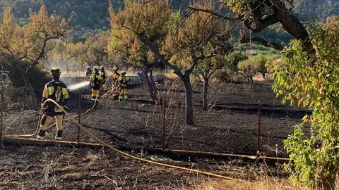Imagen de archivo. Bomberos de Mallorca e Ibanat sofocan un incendio agrícola en la carretera de Selva a Caimari.