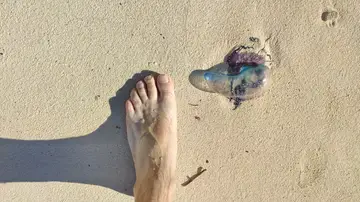 Medusa en una playa junto a los bañistas