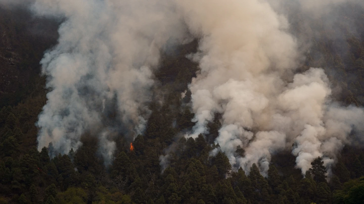 Un incendio sin precedentes en Tenerife deja columnas de humo de hasta siete kilómetros Un incendio sin precedentes en Tenerife deja columnas de humo de hasta siete kilómetros