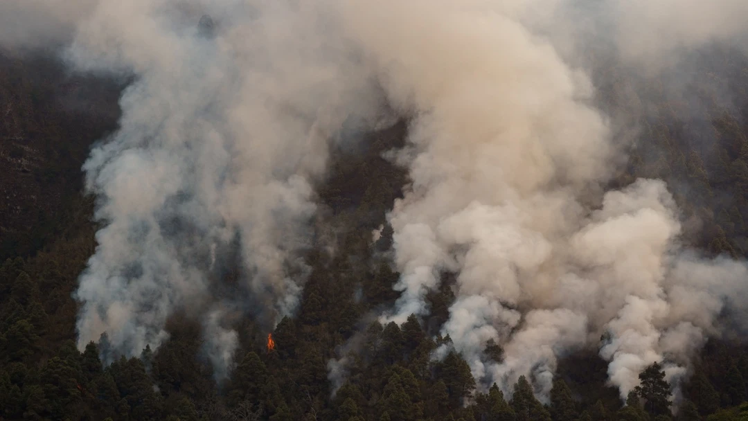 Un incendio sin precedentes en Tenerife deja columnas de humo de hasta siete kilómetros