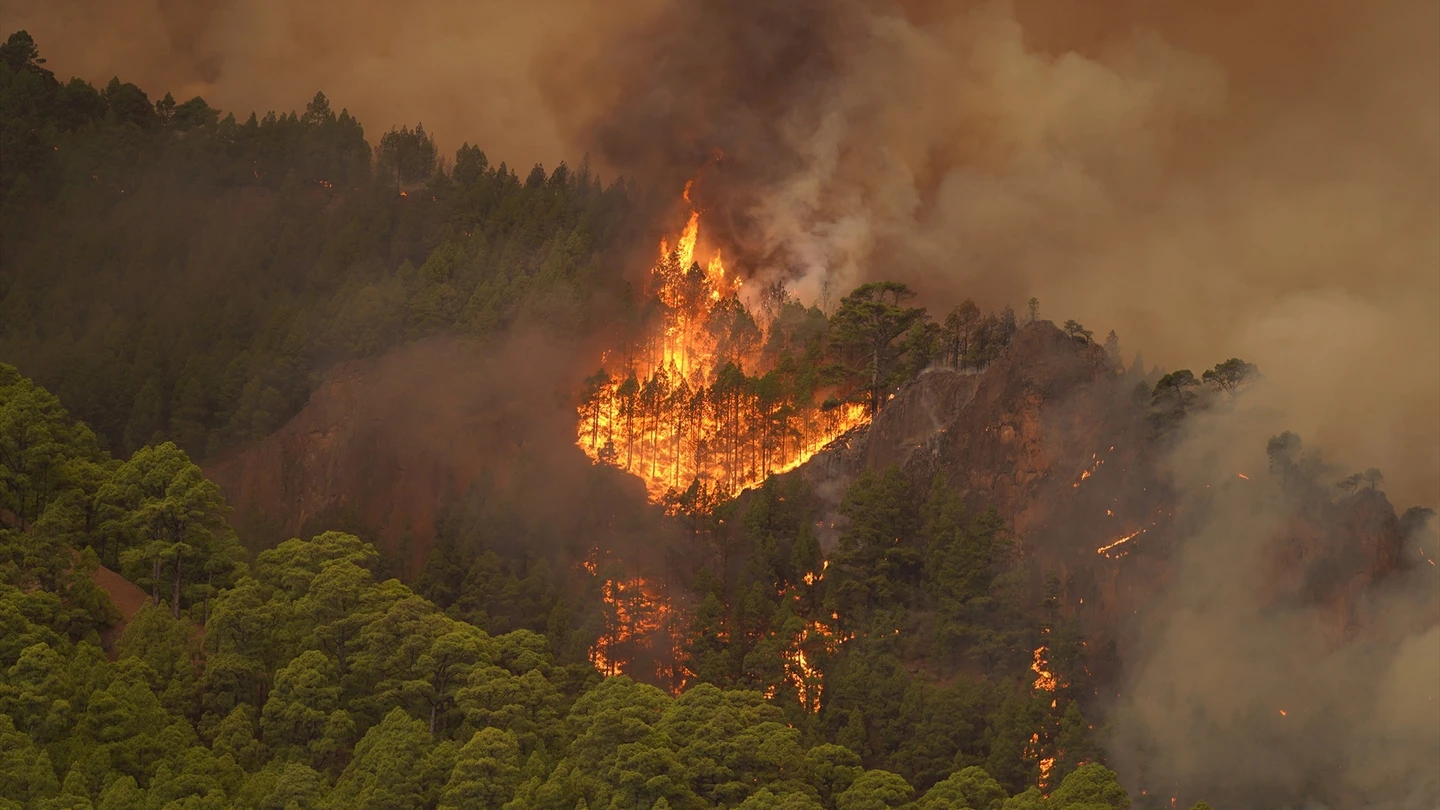 ¿Qué son los peligrosos pirocúmulos que se han formado en el incendio de Tenerife? ¿Qué son los peligrosos pirocúmulos que se han formado en el incendio de Tenerife?