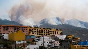 El incendio forestal que afecta a la isla de Tenerife mientras avanza por el municipio de La Victoria.