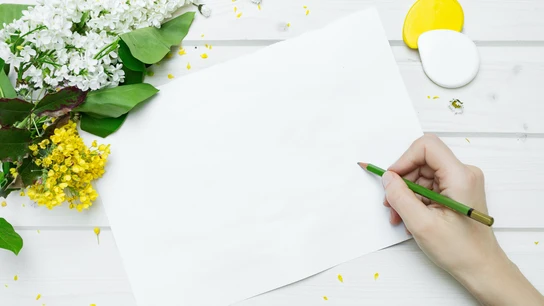 Adonde o a donde, cuándo se escribe cada una de ellas Adonde o a donde, cuándo se escribe cada una de ellas