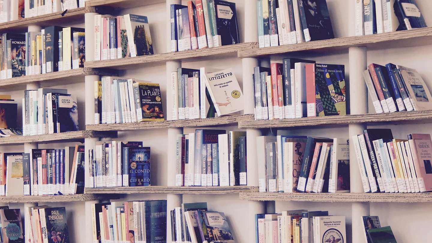 Imagen de archivo de varias estanterías con libros Imagen de archivo de varias estanterías con libros