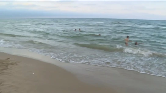 Cierran durante horas dos playas de Valencia por la presencia de un tiburón azul Cierran durante horas dos playas de Valencia por la presencia de un tiburón azul