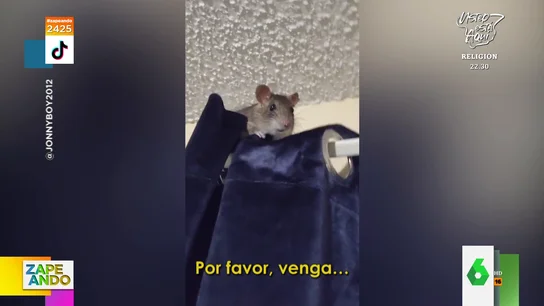 La cómica llamada de un hombre a la recepción de un hotel para avisar de un ratón en su habitación La cómica llamada de un hombre a la recepción de un hotel para avisar de un ratón en su habitación