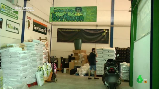 El dueño de un 'grow shop' de marihuana responde así sobre el clan de 'Los Tontos' de Pinos Puente, Granada El dueño de un 'grow shop' de marihuana responde así sobre el clan de 'Los Tontos' de Pinos Puente, Granada