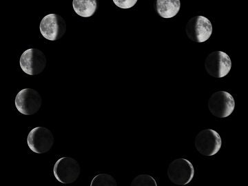 Fases Luna