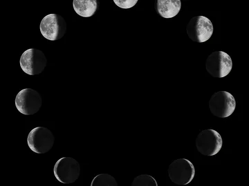 Fases Luna Fases Luna