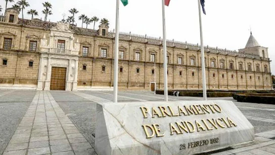 El Parlamento de Andalucía aprobará un grupo de trabajo de lucha contra la violencia de género El Parlamento de Andalucía aprobará un grupo de trabajo de lucha contra la violencia de género