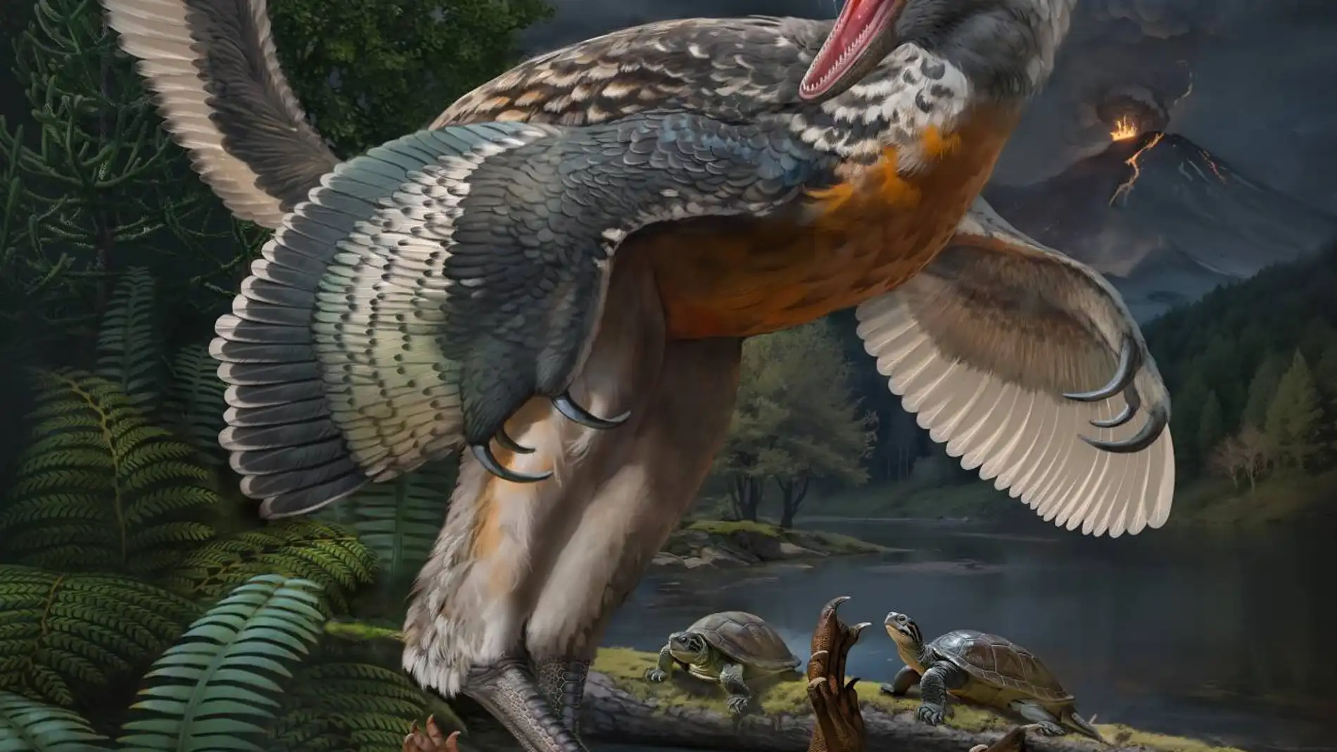 Un fosil hallado en China da nuevas claves para conocer el origen de las aves