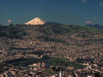 Quito Quito