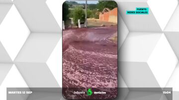Un 'río' de vino tinto inunda la calles de un pequeño pueblo de Portugal