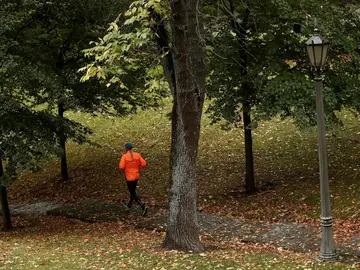 Llevar una vida saludable, lo que incluye dormir 8 horas, previene la depresión Llevar una vida saludable, lo que incluye dormir 8 horas, previene la depresión