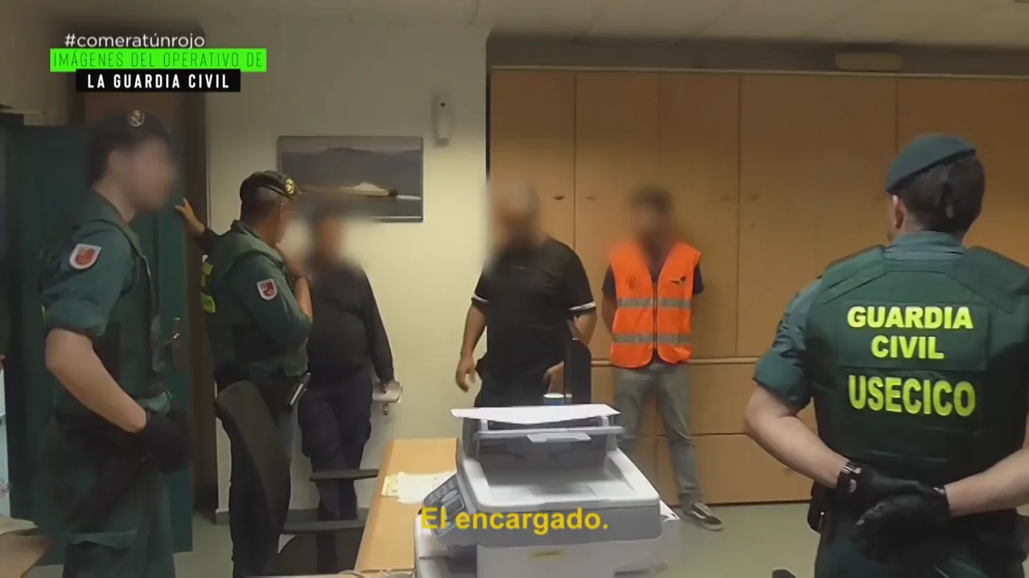 Así registró la UCOMA las naves de uno de los grandes distribuidores de atún rojo en España: "Sospechan que el 50% es ilegal" Así registró la UCOMA las naves de uno de los grandes distribuidores de atún rojo en España: "Sospechan que el 50% es ilegal"