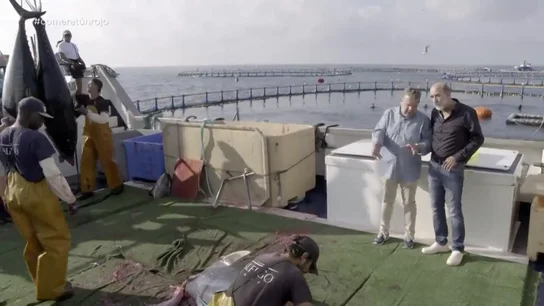 Así reaccionaba Chicote al descubrir la ingente cantidad de atún rojo que se vende en España de forma ilegal: "El 10% del total" Así reaccionaba Chicote al descubrir la ingente cantidad de atún rojo que se vende en España de forma ilegal: "El 10% del total"