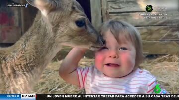 Evelyn Segura advierte sobre los peligros de este vídeo tan tierno entre un cervatillo y un bebé: "No es una mascota"