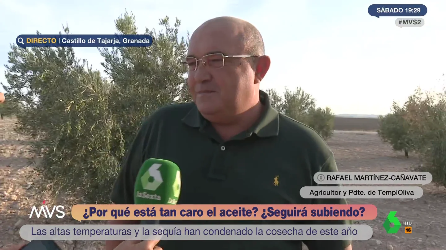 Un agricultor explica que el aceite de oliva está tan caro "por la sequía": "El año que viene tendremos aún menos disponibilidad" Un agricultor explica que el aceite de oliva está tan caro "por la sequía": "El año que viene tendremos aún menos disponibilidad"