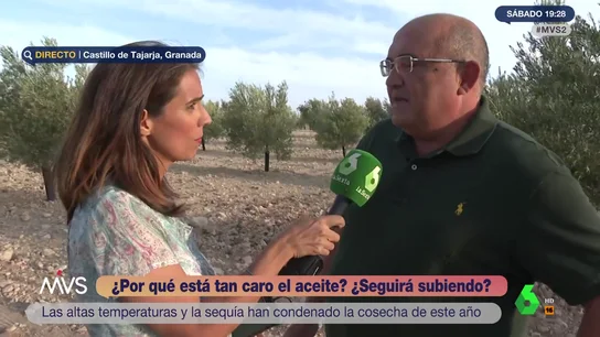 Un agricultor advierte sobre el aceite de oliva: "Si falla la producción en España, falla en todo el mundo" Un agricultor advierte sobre el aceite de oliva: "Si falla la producción en España, falla en todo el mundo"