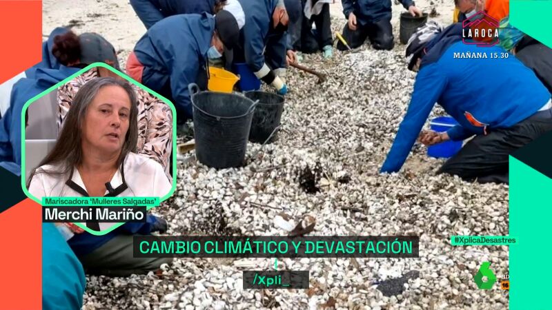 Una mariscadora gallega relata cómo el cambio climático amenaza su labor: "El desove se produce fuera de época"
