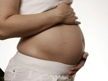 Dan con la clave para entender cómo el cerebro de las mujeres se adapta a la maternidad Dan con la clave para entender cómo el cerebro de las mujeres se adapta a la maternidad