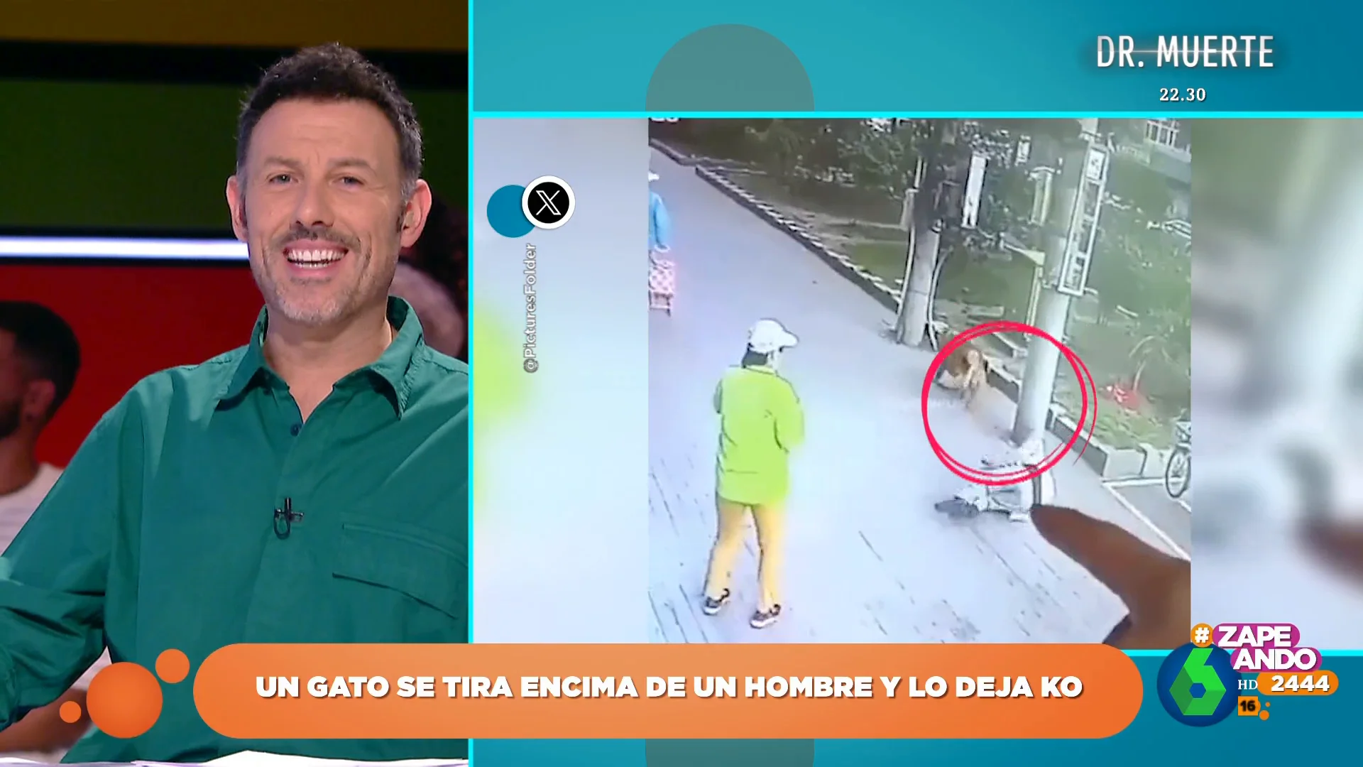 Un gato deja KO a un hombre mientras paseaba a su perro