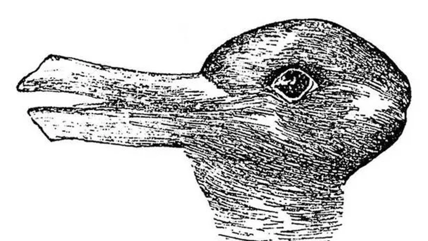 Imagen de una ilusión óptica: ¿es un pato o un conejo? Imagen de una ilusión óptica: ¿es un pato o un conejo?