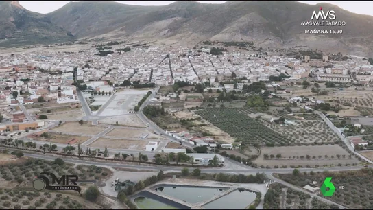 "Si España estornuda, se resfría el sector mundial de elaboración de aceite de oliva": la seria advertencia del experto Juan Vilar "Si España estornuda, se resfría el sector mundial de elaboración de aceite de oliva": la seria advertencia del experto Juan Vilar