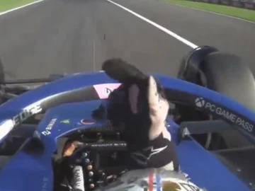 Pierre Gasly lanza una peineta Pierre Gasly lanza una peineta
