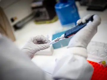 Laboratorio del CNB Laboratorio del CNB