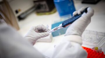 Laboratorio del CNB 