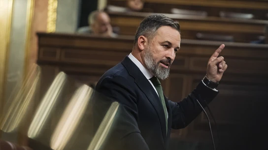 El líder de Vox, Santiago Abascal, interviene durante la primera sesión del debate de investidura del líder del PP. El líder de Vox, Santiago Abascal, interviene durante la primera sesión del debate de investidura del líder del PP.