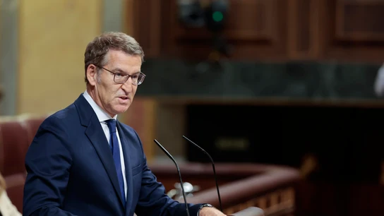 El presidente del PP y candidato a la presidencia del Gobierno, Alberto Núñez Feijóo, durante su discurso de investidura El presidente del PP y candidato a la presidencia del Gobierno, Alberto Núñez Feijóo, durante su discurso de investidura