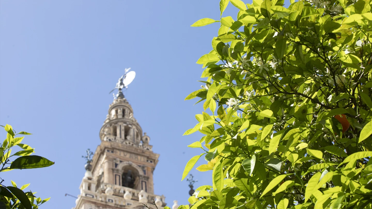 Llega a España un episodio de "anómalo" de altas temperaturas con máximas de hasta 38ºC Llega a España un episodio de "anómalo" de altas temperaturas con máximas de hasta 38ºC