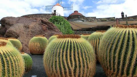 Lanzarote