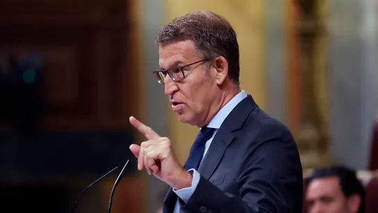 El candidato a la presidencia del Gobierno y líder del PP, Alberto Núñez Feijóo El candidato a la presidencia del Gobierno y líder del PP, Alberto Núñez Feijóo