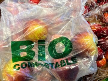 Un estudio preliminar muestra mayor toxicidad en bolsas compostables que en las de plastico convencional