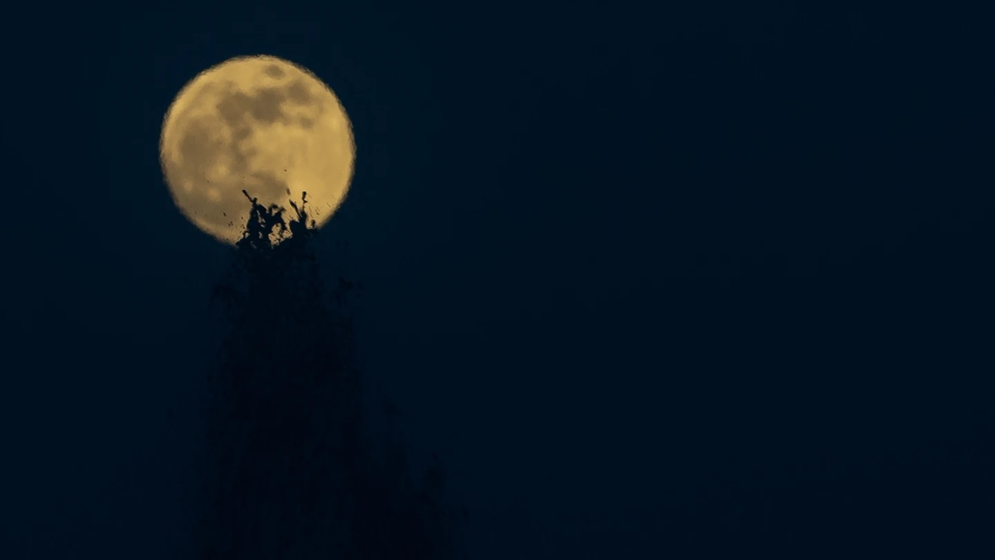 Luna llena de septiembre 2023: cuándo y dónde ver la Luna de cosecha Luna llena de septiembre 2023: cuándo y dónde ver la Luna de cosecha