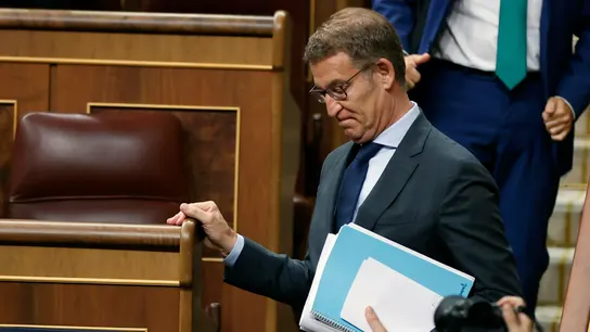 El candidato a la presidencia del Gobierno y presidente del PP, Alberto Núñez Feijóo El candidato a la presidencia del Gobierno y presidente del PP, Alberto Núñez Feijóo