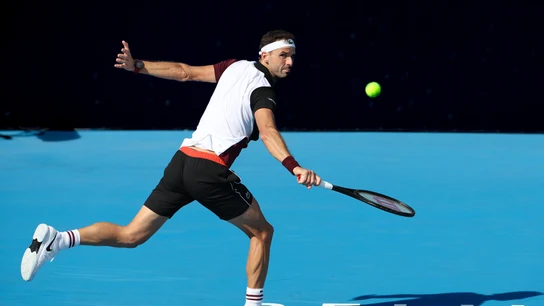 Grigor Dimitrov Grigor Dimitrov
