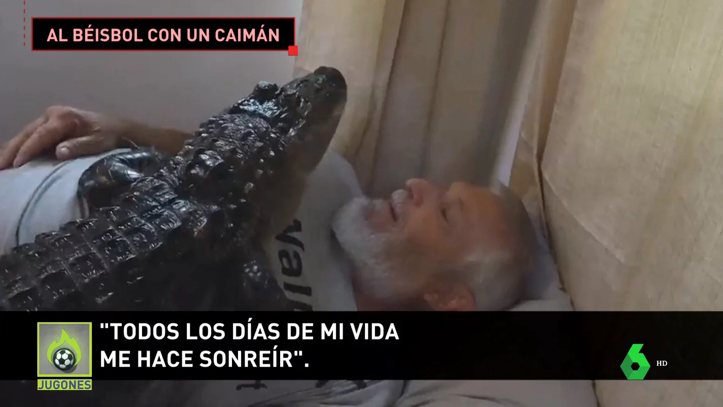 CAIMAN CAIMAN