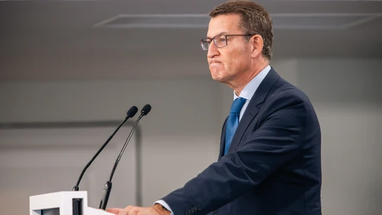 El líder del PP, Alberto Núñez Feijóo El líder del PP, Alberto Núñez Feijóo