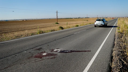 Vista del lugar del atropello mortal a una mujer de 41 años, ya confirmado como un caso de violencia machista. Vista del lugar del atropello mortal a una mujer de 41 años, ya confirmado como un caso de violencia machista.